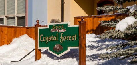 CRYSTAL FOREST image 1