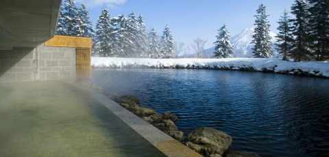 THE GREEN LEAF - NISEKO VILLAGE image 2