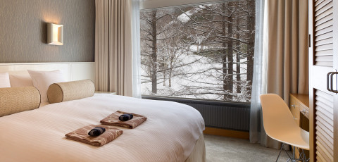 THE GREEN LEAF - NISEKO VILLAGE image 7