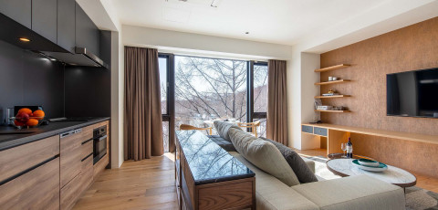 INTUITION - NISEKO HIRAFU image 6