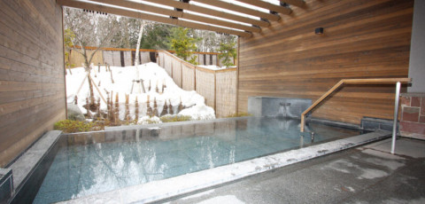 HAKUBA TOKYU HOTEL - WADANO image 3