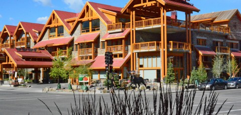 MOOSE HOTEL & SUITES