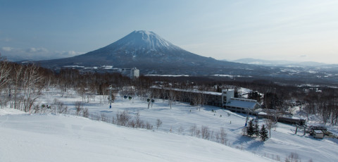 THE GREEN LEAF - NISEKO VILLAGE image 6