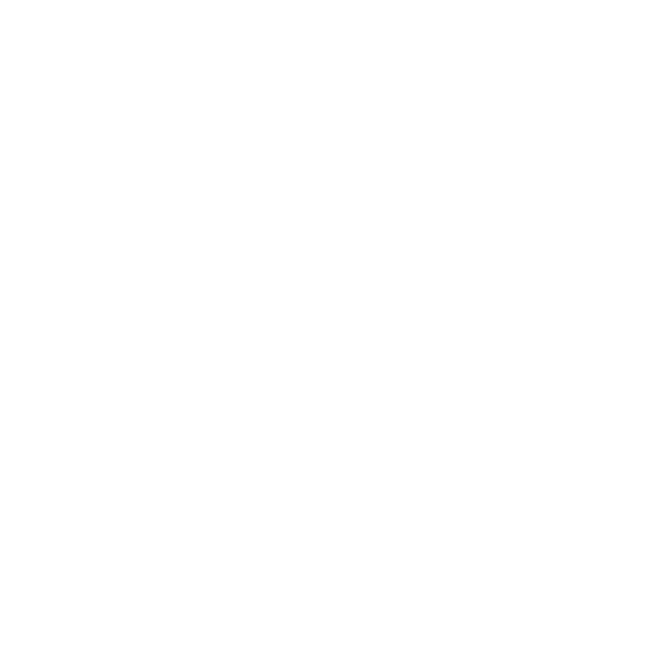 AMERICAN SKI CLASSICS 020 8607 9988